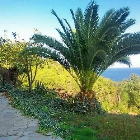 Apartment In Southern Corsica 36 Tarco Conca