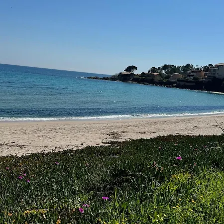 In Southern Corsica 36 Tarco