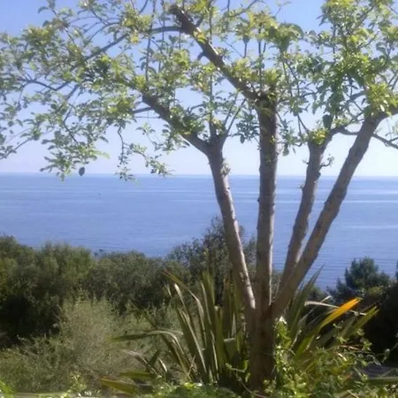 Apartment In Southern Corsica 36 Tarco *